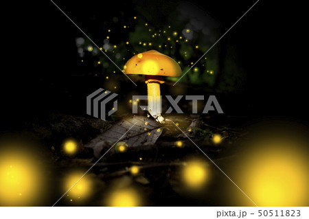 黄色い光を放つ黄色いキノコ（ファンタジックイメージ） 50511823