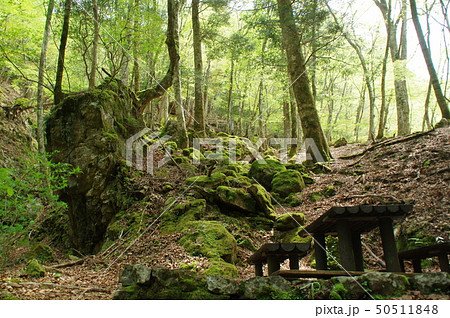 奈良　御手洗渓谷 50511848