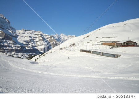 ユングフラウヨッホ 50513347