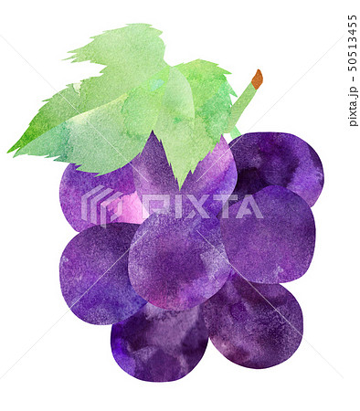 紫ぶどう・小・葉付き 50513455