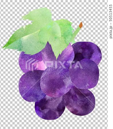 紫ぶどう・小・葉付き 50513455