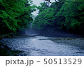 春の五十鈴川 50513529