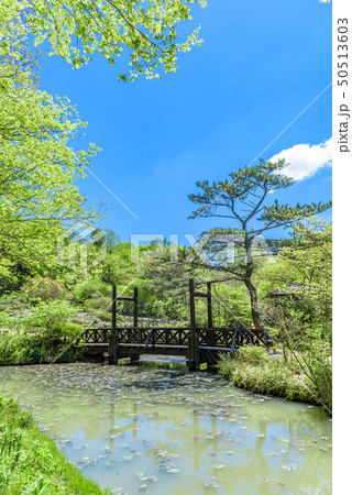 兵庫県・六甲高山植物園 50513603