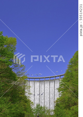 鳴子ダム　すだれ放流2019 50514231