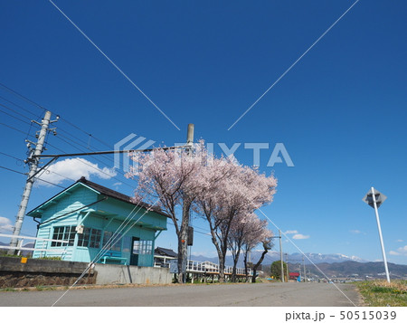 ローカル線の駅舎と桜 ローカル線の駅舎と桜 50515039