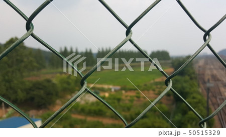 鉄の杖 街路樹 鉄道 50515329