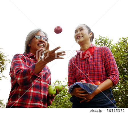 Family farmer apple happy and fun in garden park. 50515372