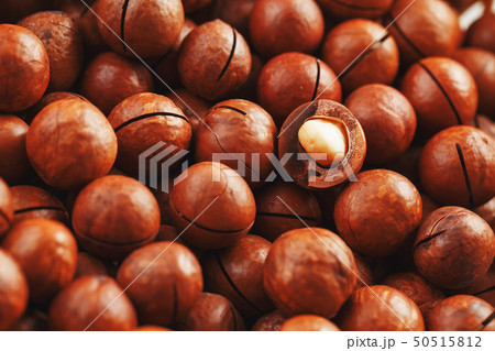 Macadamia nuts in large quantities in bulk in the Macadamia nuts in large quantities in bulk in the 50515812