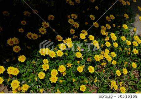 中ノ浦教会その11 50516168