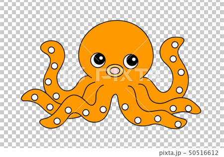 章魚章魚 章魚章魚 50516612