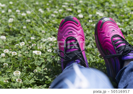 原っぱで一休み 50516957