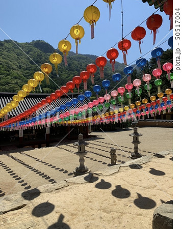 寺院 グリョンサ 提灯 50517004