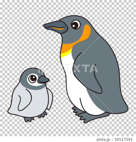 Oosama penguin kingpenguin Oosama penguin kingpenguin 50517591