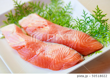サクラマスの切身 50518022