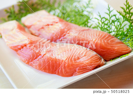 サクラマスの切身 50518025