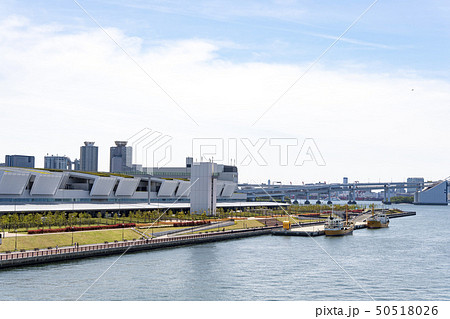 豊洲市場の公園 50518026