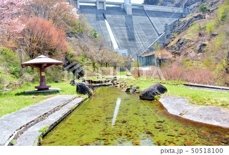 豊丘ダムと親水公園 豊丘ダムと親水公園 50518100