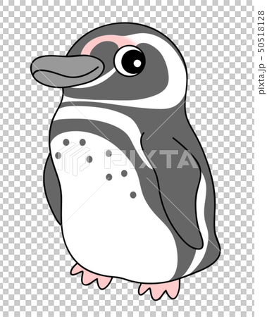 Magellan Penguin Magellanpenguin 50518128
