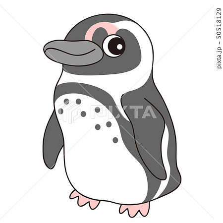 ケープペンギン Capepenguinのイラスト素材 50518129 Pixta