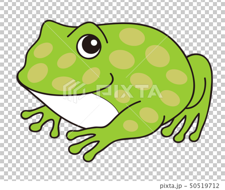 ベルツノガエル キャラクター イラスト 50519712