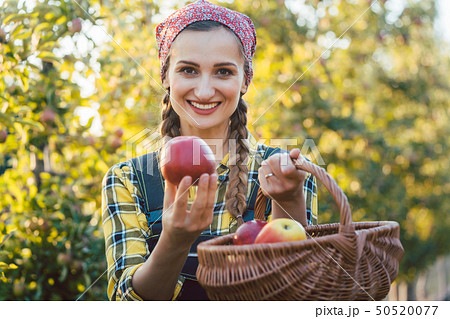 Farmer woman in fruit orchard holding apple in her hands offering Farmer woman in fruit orchard holding apple in her hands offering 50520077