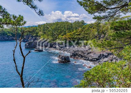 静岡県伊東市　城ヶ崎海岸 50520205