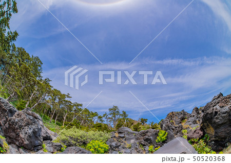 静岡県伊東市　城ヶ崎海岸　魚眼レンズ 50520368