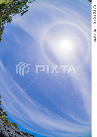 静岡県伊東市　城ヶ崎海岸　魚眼レンズ 50520375