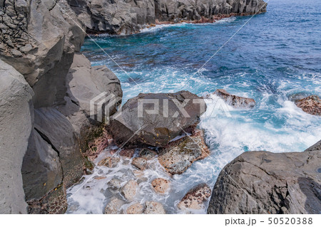 静岡県伊東市　城ヶ崎海岸 50520388