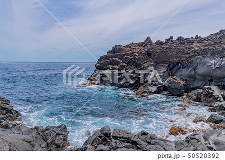 静岡県伊東市 城ヶ崎海岸 静岡県伊東市 城ヶ崎海岸 50520392