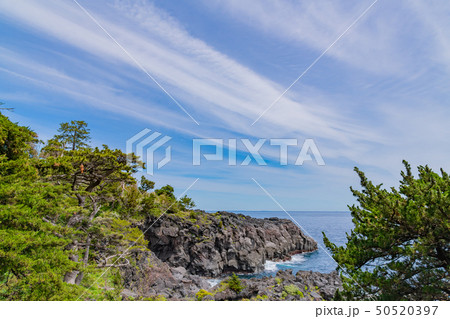 静岡県伊東市　城ヶ崎海岸 50520397