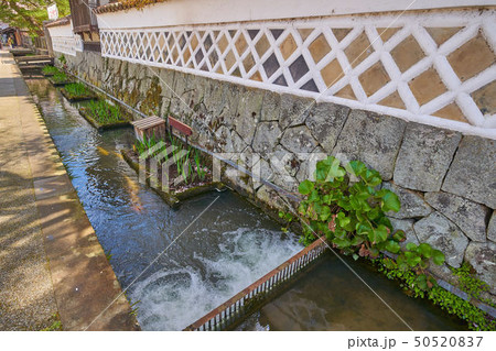 島根(山陰の小京都)の津和野 殿町通りの掘割 50520837