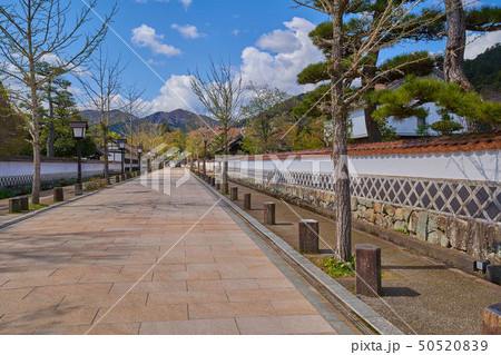 島根(山陰の小京都)の津和野 殿町通りの南側方面を見る 50520839