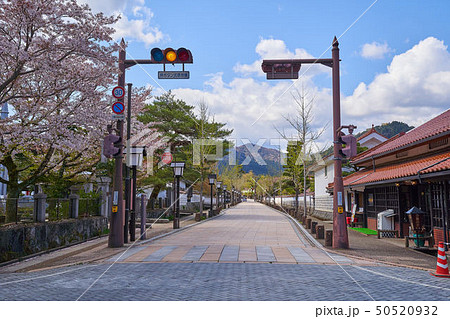 島根(山陰の小京都)の津和野 殿町通りの南側方面を見る 島根(山陰の小京都)の津和野 殿町通りの南側方面を見る 50520932
