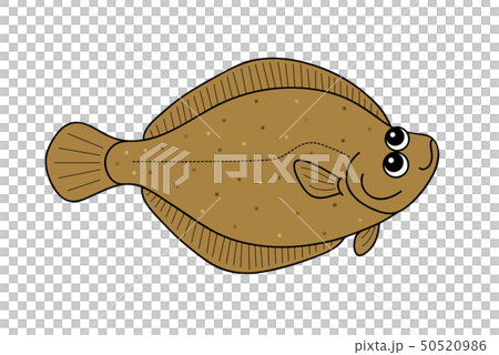 卡雷比目魚 卡雷比目魚 50520986