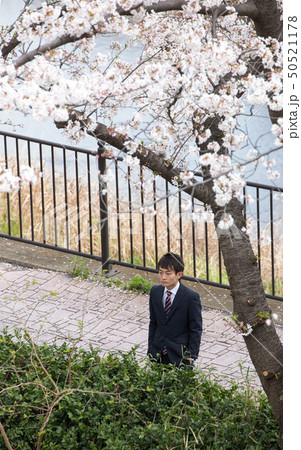 桜の木の下で佇む男性 50521178