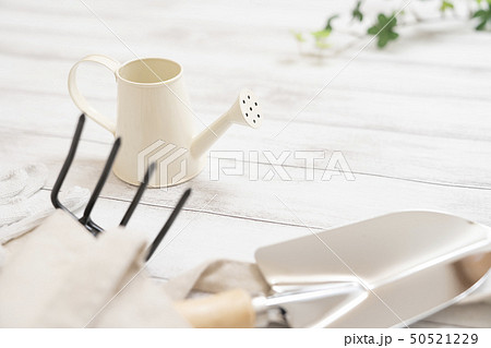 園芸イメージ 50521229