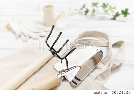 園芸イメージ 園芸イメージ 50521236