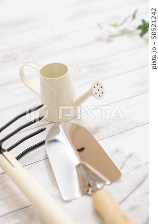 園芸イメージ 園芸イメージ 50521242