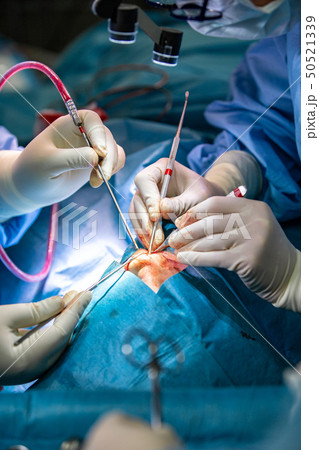 Surgeon and his assistant performing cosmetic surgery on nose in hospital operating room. Nose 50521339