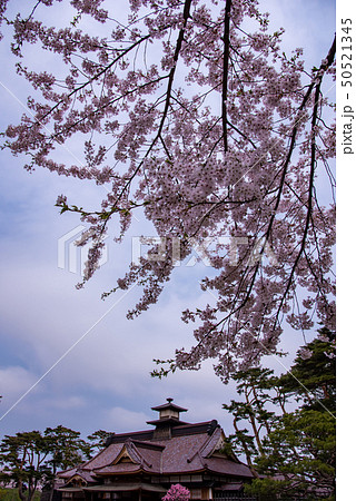 北海道　函館　五稜郭公園　復元された箱館奉行所と桜 50521345