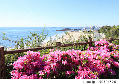 古房地公園　茨城県日立市 50521526