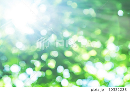 新緑イメージ 新緑イメージ 50522228