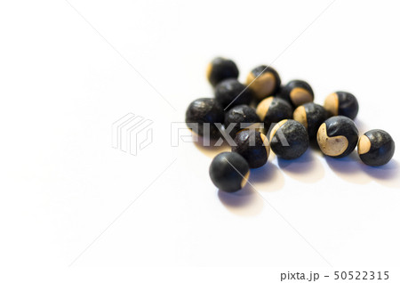 風船かずらの種 50522315