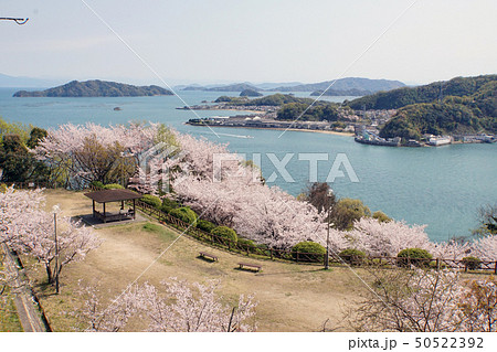 公園と瀬戸内海 公園と瀬戸内海 50522392