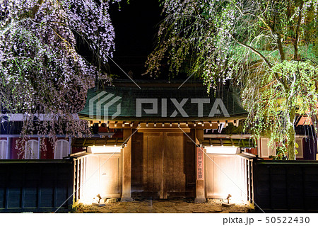 角館 夜桜 秋田県 角館 夜桜 秋田県 50522430