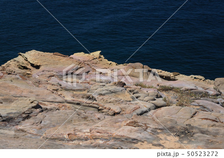 崖っぷち 50523272