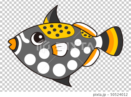 Triggerfish Balistoides Triggerfish Balistoides 50524012