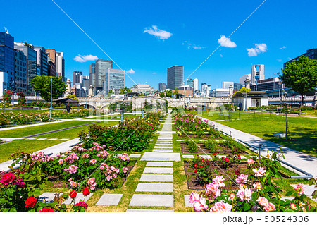 中之島公園 中之島公園 50524306