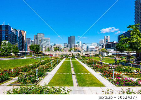 中之島公園 50524377